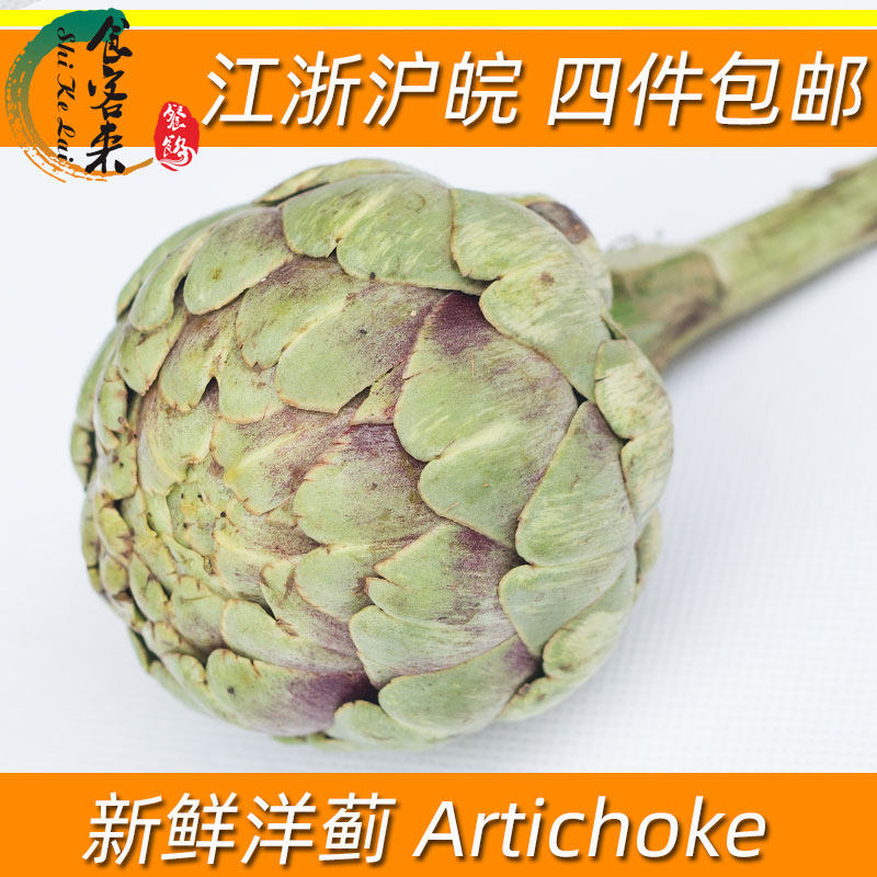 食用新鲜洋蓟菜500g法国百合 Artichoke 蔬菜青菜煲汤蒸煮