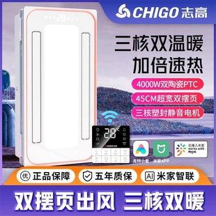 志高风暖浴霸集成吊顶照明排气扇风机浴室一体卫生间双摆页智能暖