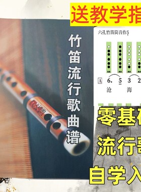 竹笛流行歌曲谱经典歌曲简谱乐谱集洞洞谱横笛子初学者零基础入门