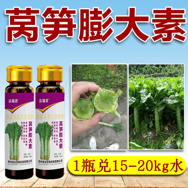 莴笋膨大素莴苣青笋莴菜防裂防空专用药鲜嫩拉长拉直增产剂叶面肥