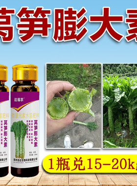 莴笋膨大素莴苣青笋莴菜防裂防空专用药鲜嫩拉长拉直增产剂叶面肥