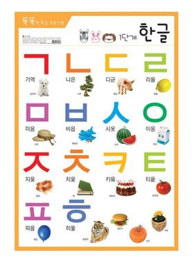 现货韩国进口学习早教挂图高清韩语动物字母数字水果汽车没有声音