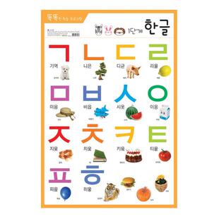现货韩国进口学习早教挂图高清韩语动物字母数字水果汽车没有声音