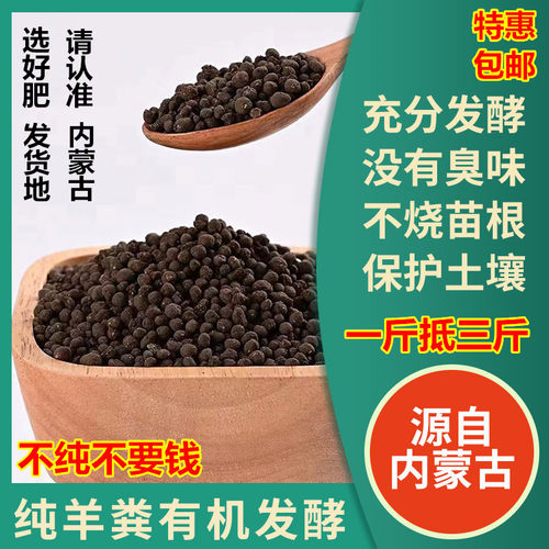内蒙古牧人羊粪发酵肥料植物
