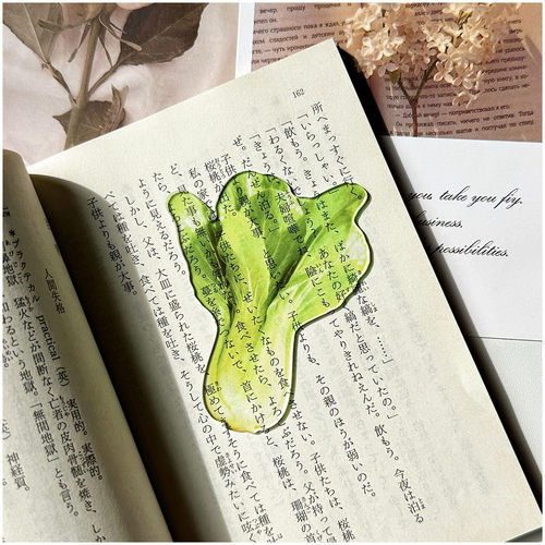可爱原创青菜玉米包菜蔬菜书签透光固定书本拍照亚克力学生透卡