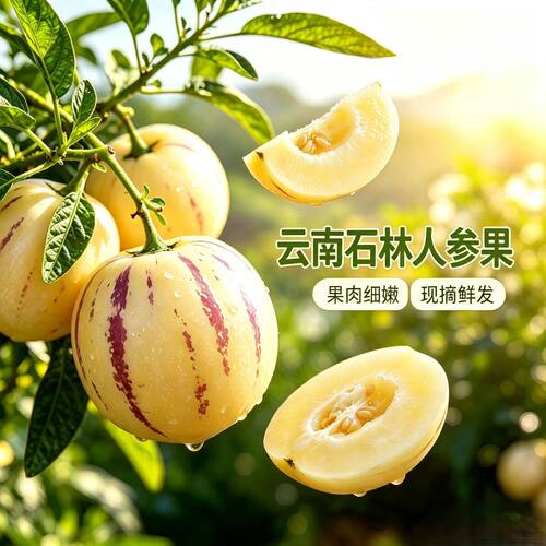 云南石林人参果黄心圆果新鲜水果