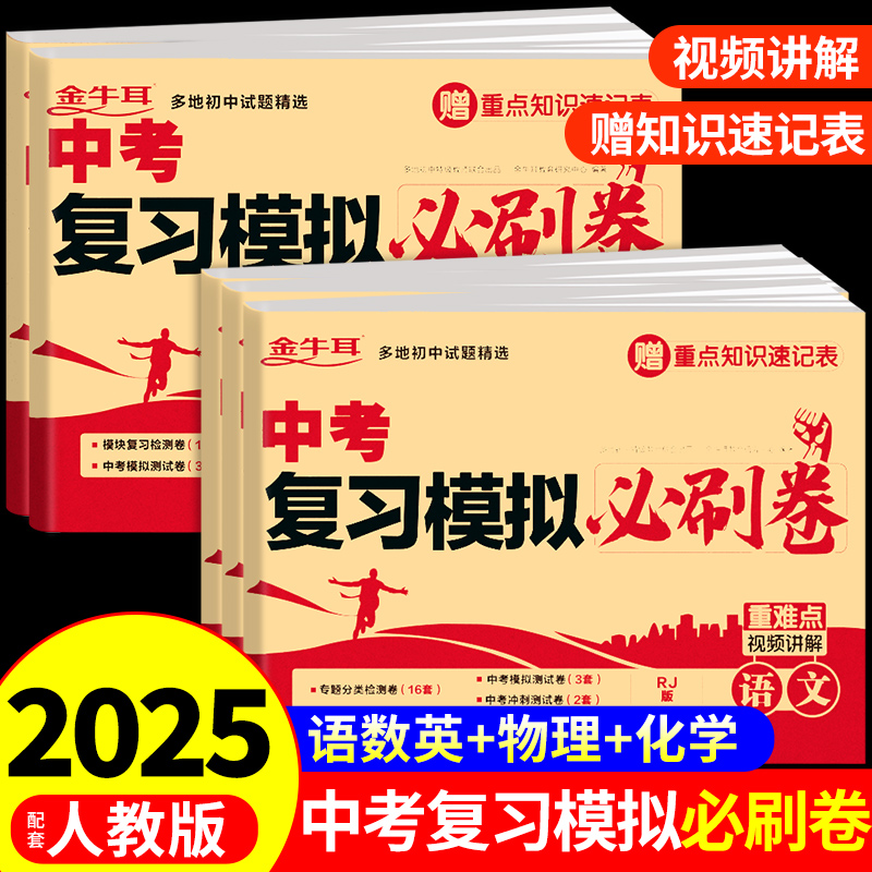 2025中考复习模拟必刷卷