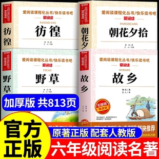 故乡鲁迅原著正版 小说散文读本鲁迅 六年级上册必读正版 小学生课外阅读书籍朝花夕拾呐喊野草作品全集经典 故乡 课外书 全套4册