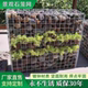 景观电焊石笼网墙镀锌公园石笼板凳铁丝网挡土墙加粗定制石笼网箱