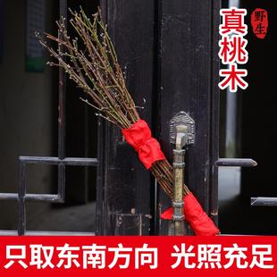 镇宅老桃木野生桃枝婴儿孕妇宝宝惊吓啼哭护身桃树枝安宅保平安