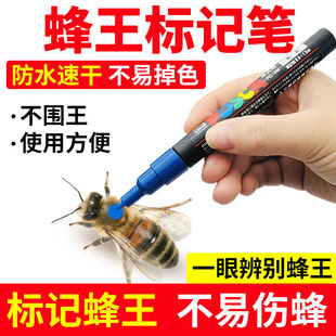 进口防水速干蜂王标记笔养蜂育王专用记号笔不退色不伤蜂好用