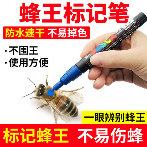 进口防水速干蜂王标记笔