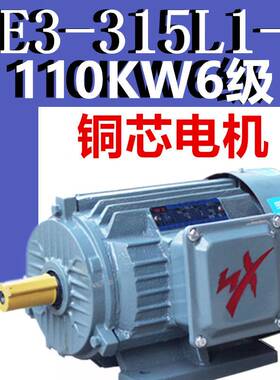 110KW6级电机YE3-315L1-6极三相异步电动机千瓦国标380V二级YX3E2