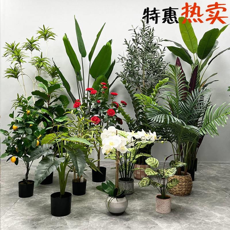 大型人造植物旅人蕉花厂家家居室内客厅装饰盆栽摆件仿真绿植
