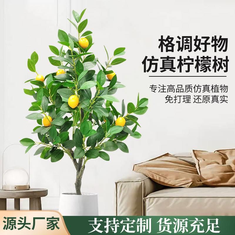 大型网红植物柠檬树花厂家家居客厅装饰落地盆栽摆件仿真绿植