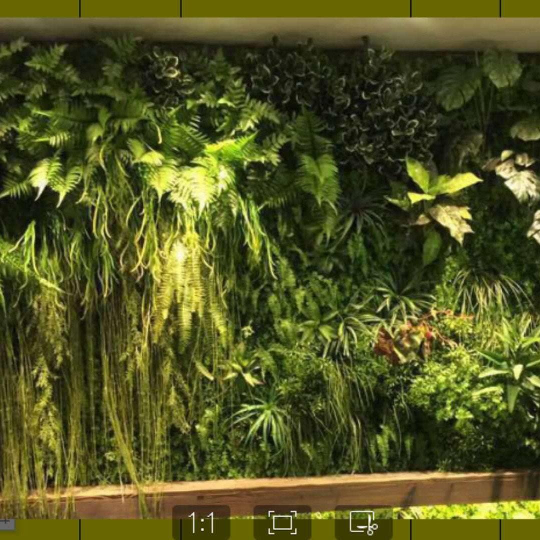 仿真精美植物墙景观工程 人造热带植物墙厂家 仿真阻燃绿植墙植物