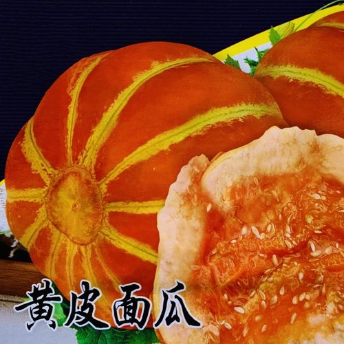 老品种面瓜黄皮甜瓜种子超甜水果