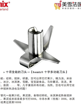 瑞士进口BAMIX菲仕乐均质机配件