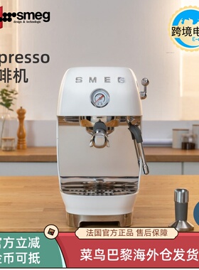 法国进口SMEG ECF03复古意式浓缩咖啡机胶囊粉蒸汽奶泡拉花一体机