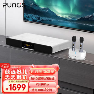 Punos（博浪沙）全民K歌定制点歌评分家庭ktv音响套装3D环绕家庭