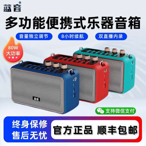 蓝音Q12音箱乐器专用便携式音响