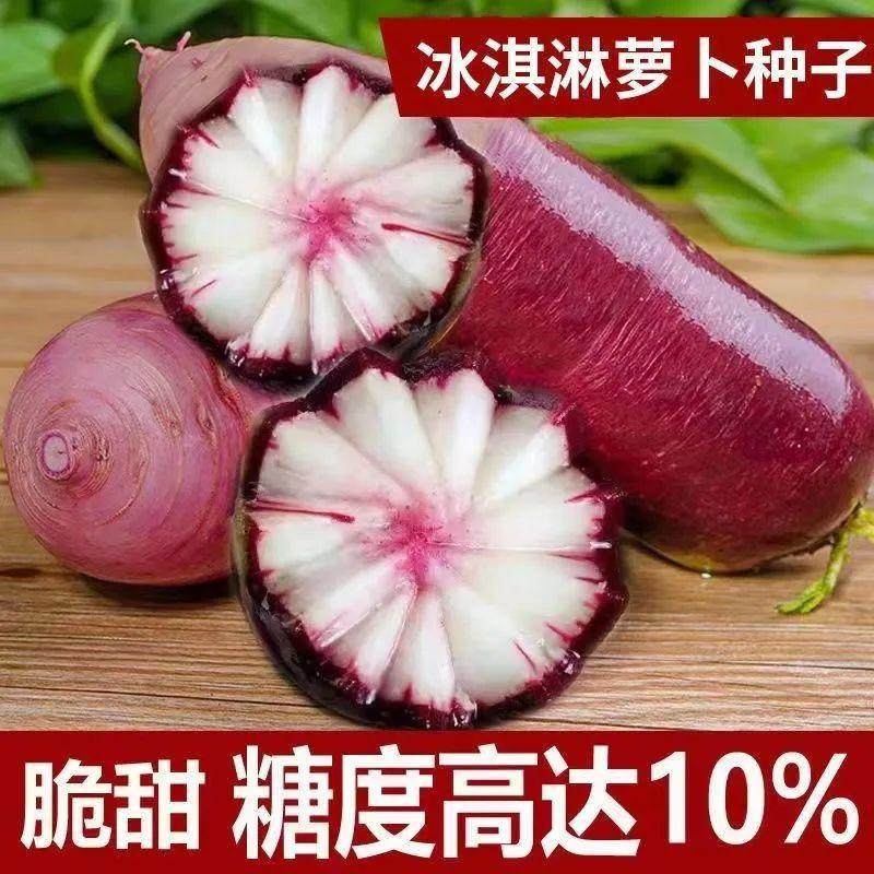 冰淇淋水果萝卜种孓多彩冰糖心萝卜冰激凌生吃脆甜萝卜盆栽紫萝卜,鲜花速递/花卉仿真/绿植园艺,家庭园艺种子,淘宝优惠券,粉丝福利购,淘宝优惠卷