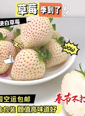 天使白色淡雪橙色越王春节过年馈赠送礼女友公司客户领导礼物礼品