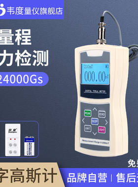 韦度WD高斯计手持式数字特斯拉计磁场测试仪磁力强度检测仪强探头
