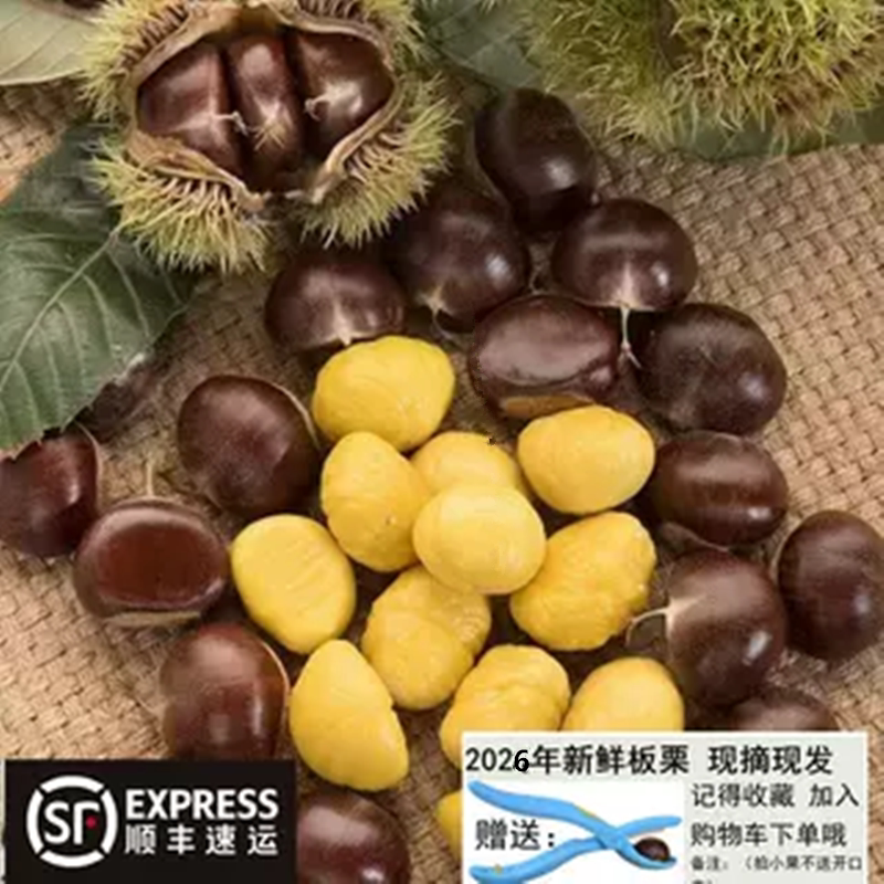 山东野生新鲜下树泰山生板栗