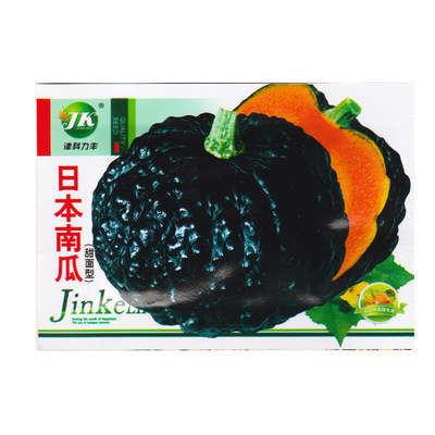 日本南瓜种子种子疙瘩小南瓜