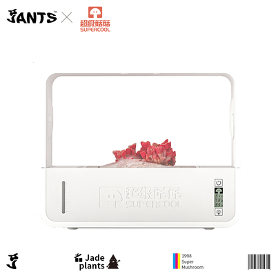 超级菇菇蘑菇种植箱1-2周可收获