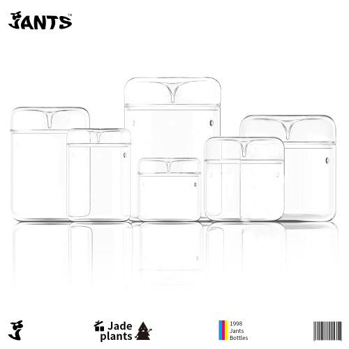 植物闷养苔藓疗养容器