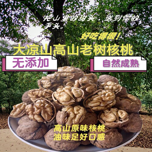 大凉山2026老树干核桃新货薄壳无添加5斤家用装零食孕妇送礼特产