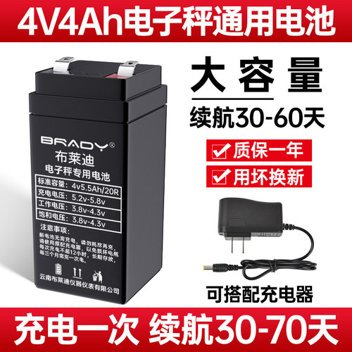 电子秤蓄电池通用大容量4v4ah6V
