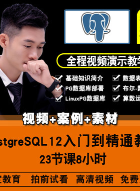 PostgreSQL视频教程 数据库12性能优化DBA高可用教学入门在线课程