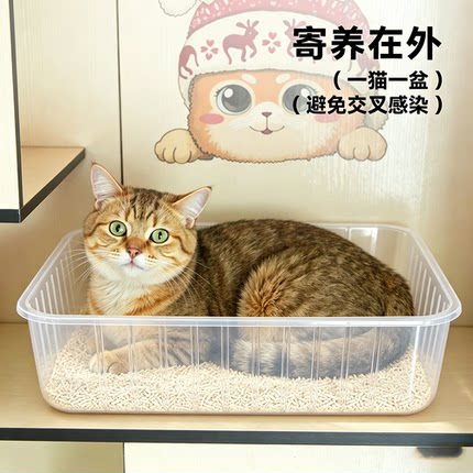 一次性猫砂盆外出车载临时猫厕所简易便携猫沙盆防漏尿次抛猫屎盆
