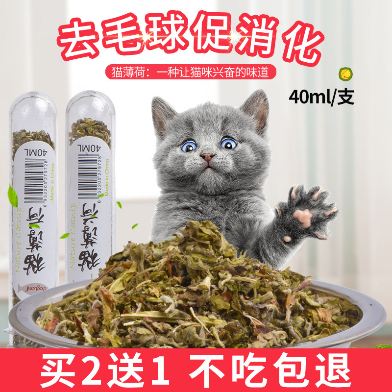 猫草营养土天然有机土种花草 价格 多少钱 优惠券 优惠信息 第6页 购物没得比官网