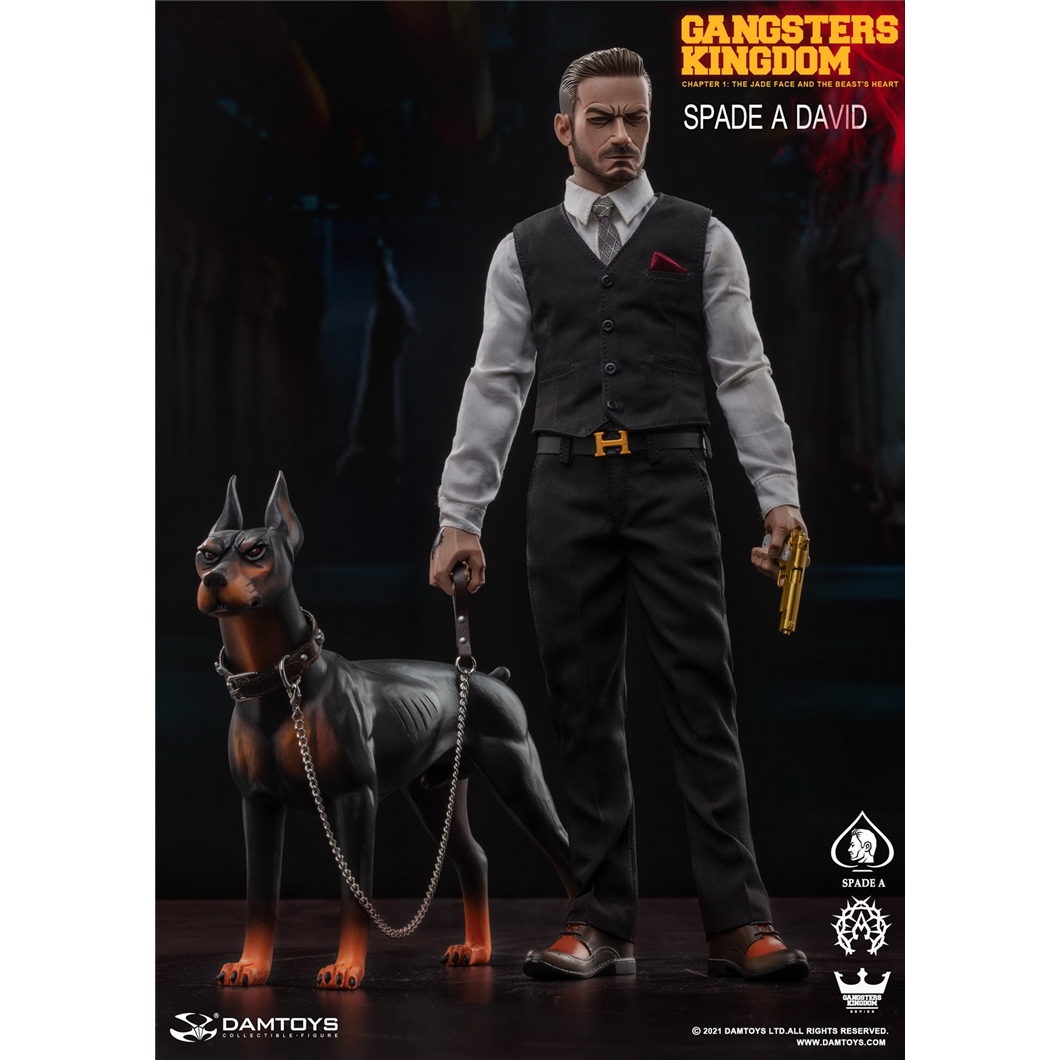 现货 DAMTOYS GK022 1/6 黑帮王国 黑桃A DAVID 贝克汉姆 杜宾犬