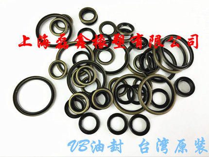 台湾SOG无弹簧外骨架油封VB63*75*5