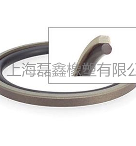 STD格来圈GSF430*405.5*8.1(O型圈在内) 活塞组合油封PG孔用