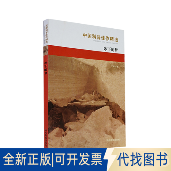 正版全新冰下的梦9787535529480王晓达湖南教育出版社2010-10-28