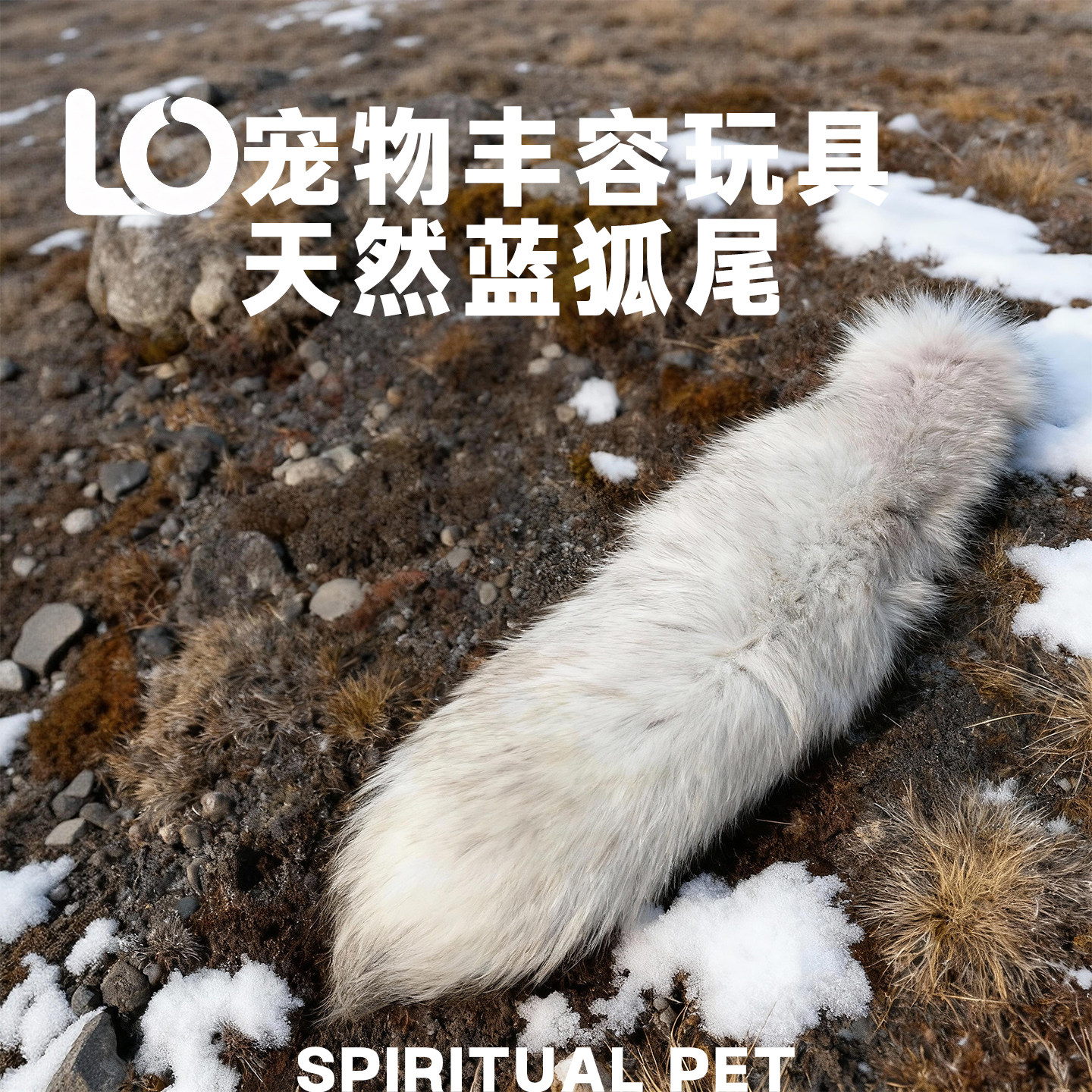 天然蓝狐真尾巴丰容玩具狐狸形逗猫棒宠物,宠物/宠物食品及用品,猫狗特色玩具,淘宝优惠券,粉丝福利购,淘宝优惠卷