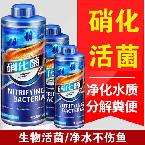 硝化细菌鱼缸用养鱼活菌液净水剂