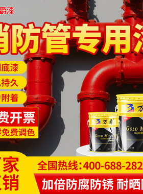 消防管道专用大红色油漆小桶装室外消火栓灭火防锈金属漆刷漆
