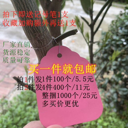 花卉牌纸标签带绳塑料挂牌园艺标签插牌苗木多肉标签记号标识牌子