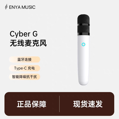 恩雅赛博吉他CyberG专用无线麦克风蓝牙话筒