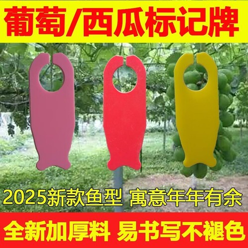 西瓜记号牌授粉卡加厚专用防水防晒好写葡萄标识吊牌花卉瓜果挂牌