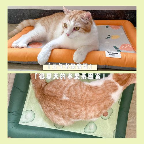 夏天狗窝bluetime/蓝时间猫