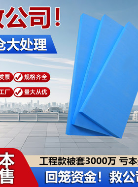 XPS挤塑板防火冬季保温板123456cm隔热泡沫板地暖屋顶外墙地垫宝