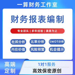 2026财务报表分析年报指标总结编制整理计算数据咨询代做满意为止